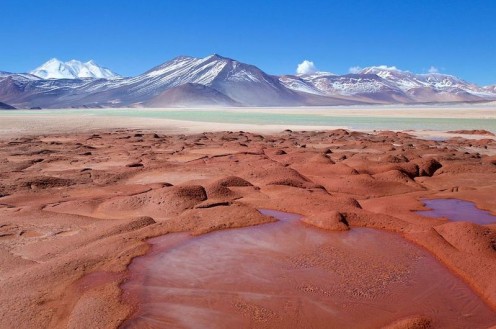 Lagunas Altiplânicas e Piedras Rojas: passeio no Atacama a mais de 4.000 m